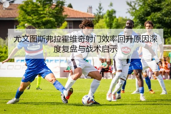 img_1781449089848_192_0_445.jpg