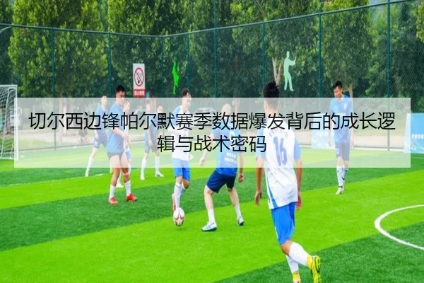 切尔西边锋帕尔默赛季数据爆发背后的成长逻辑与战术密码